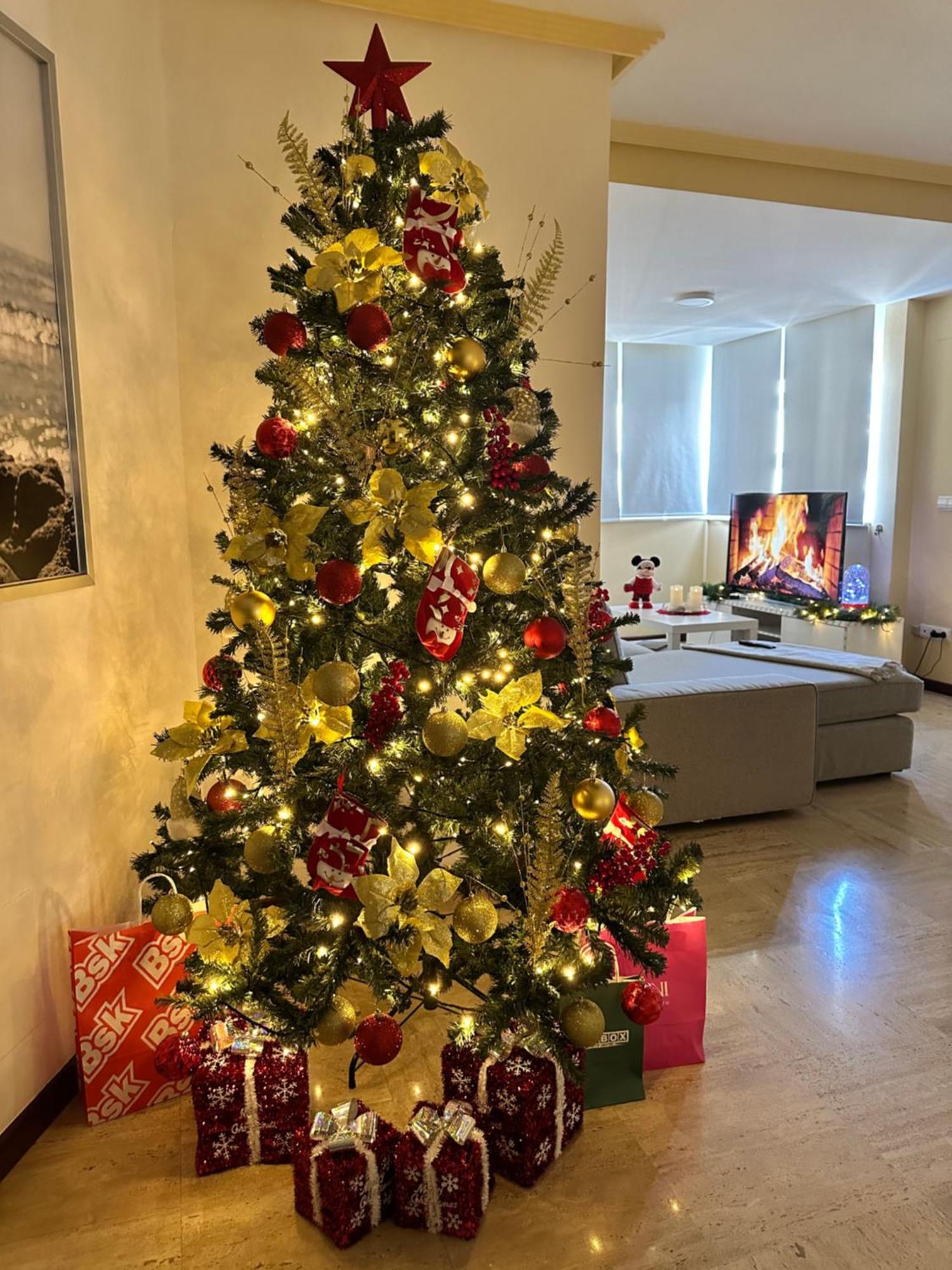 Moderna Habitacion En El Corazon De Alicante Dış mekan fotoğraf